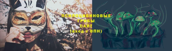 прущая мука Бородино