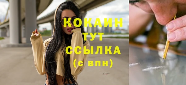 сатива Бронницы