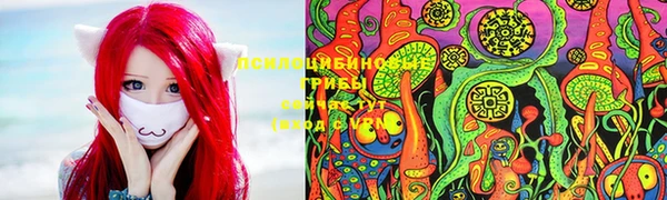 прущая мука Бородино